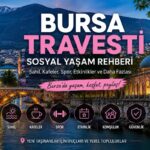 Bursa’da Sosyal Çevre Kurmak ve Şehir Yaşamına Uyum Sağlamak